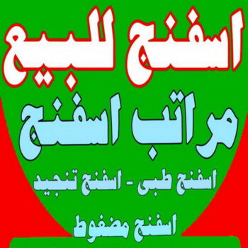 اسفنج - اسفنج للبيع - اسفنج البغلي - ابوجورج 50935174 - اسفنج الجريوي - اسفنج الوطنية - اسفنج الهزيم - مراتب اسفنج - اسفنج طبي - اسفنج الكويت - اسفنج مضغوط - اسفنج تنجيد