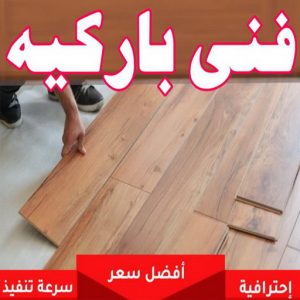 فني باركيه
