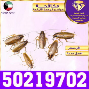 شركة تنظيف - تنظيف منازل - مكافحة الحشرات - الاتصال 50219702 - تنظيف فلل وشقق - تنظيف بالكويت - غسيل سجاد