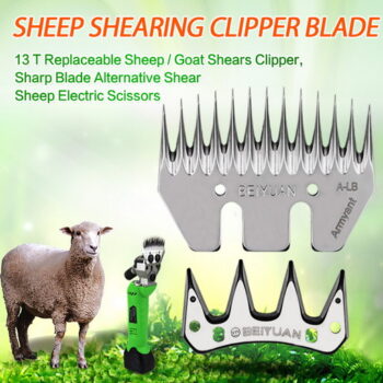 جز اغنام - قص اغنام - ماكينة قص الاغنام - ماكينة جز الاغنام - أمير بنغالي - تقليم اظافر - اغنام الكويت - جز غنم - جز صوف - حلاق اغنام - حلاق غنم - جز