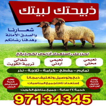 توصيل ذبايح _ اغنام للبيع - قصاب - قصاب متنقل - رقم قصاب - قصاب الجهراء - قصاب الكويت - رقم قصاب - جزار - الاتصال 97134345