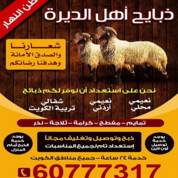 ذبايح للبيع مع قصاب - بالكويت 60777317  - ذبايح للبيع - بيع ذبايح - توصيل ذبايح - قصاب - بيع اضاحي - بيع اغنام - بيع ذبايح الكويت