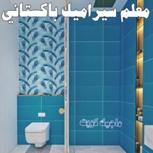 معلم سيراميك باكستاني