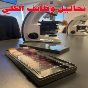 تحاليل وظائف الكلى